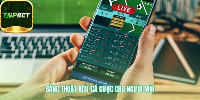 Bảng thuật ngữ cá cược giải thích các từ lóng thông dụng