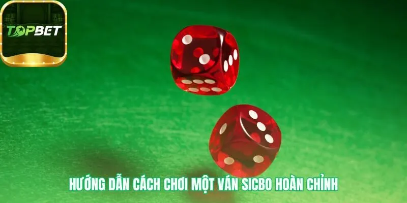 Hướng dẫn chơi qua quy trình 5 bước trực quan