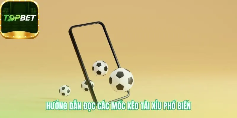 Các mốc kèo Tài Xỉu giải mã quy tắc thắng thua nửa tiền