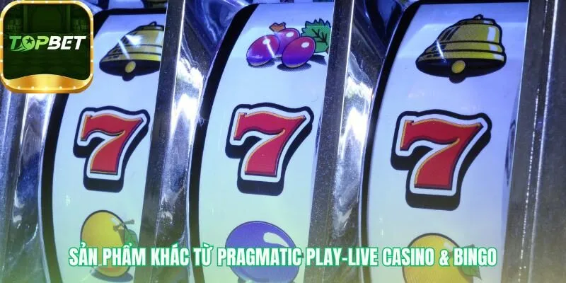 Slot Pragmatic Play còn có Live Casino và Bingo đặc sắc