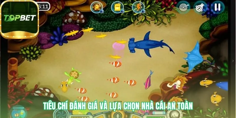 Đánh giá nhà cái an toàn dựa trên tính hợp pháp và giao dịch nhanh