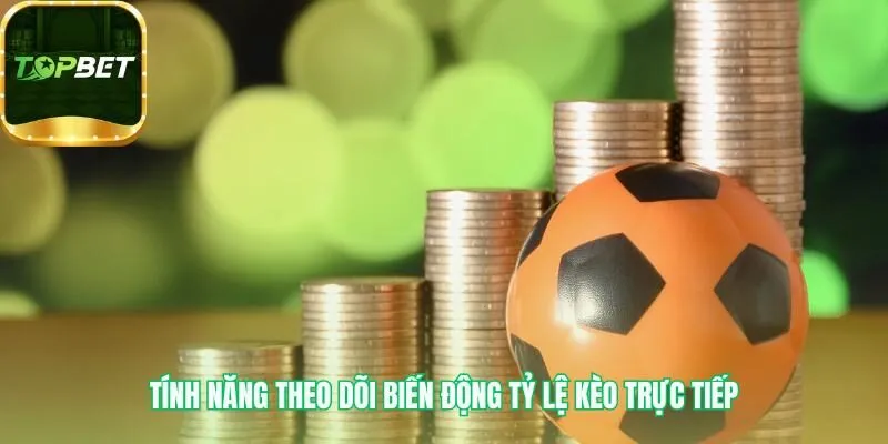 Soi kèo nhà cái qua biến động tỷ lệ phản ánh thông tin then chốt