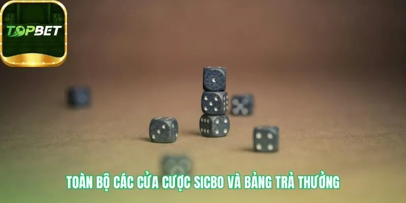 Bảng trả thưởng Sicbo thể hiện các cửa cược đa dạng