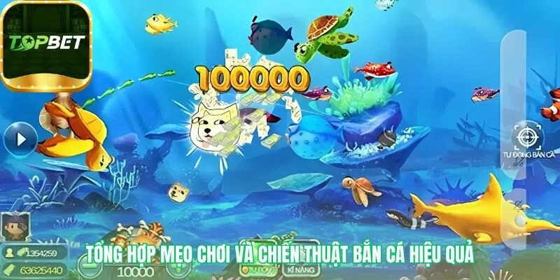 Áp dụng mẹo bắn ria và quản lý vốn để săn cá hiệu quả